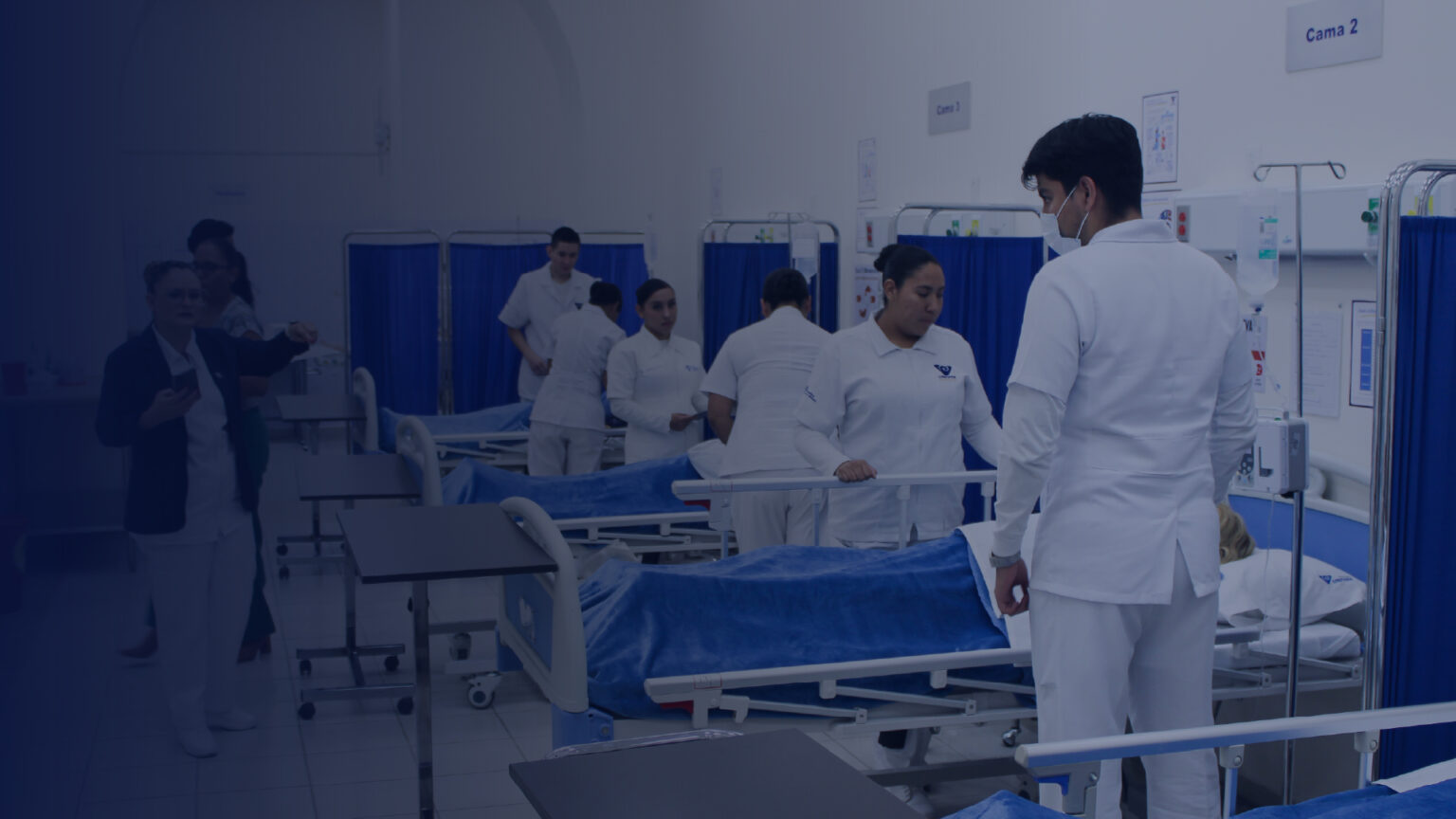 licenciatura EN enfermería
